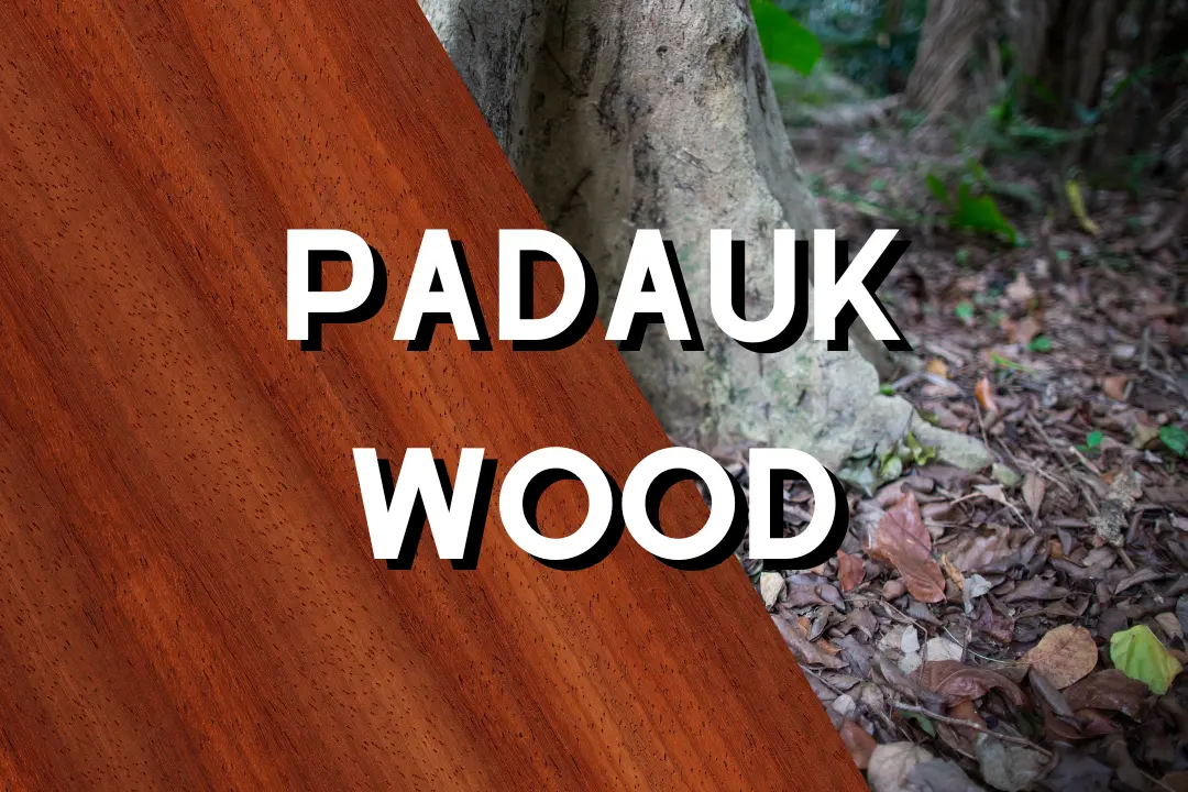 padauk wood