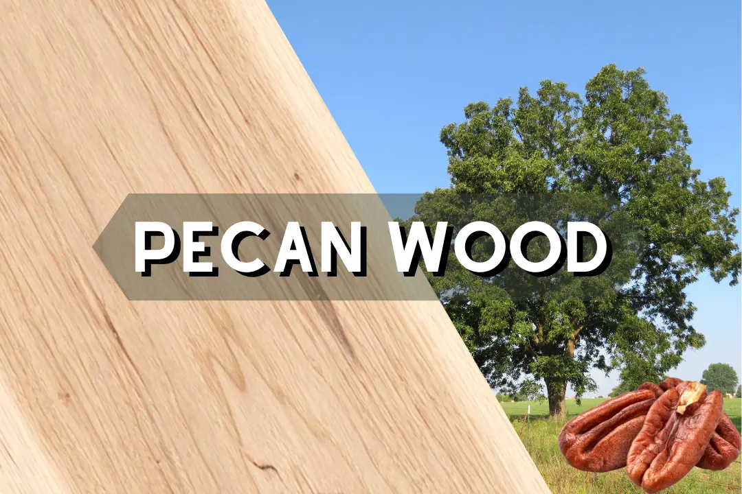 pecan wood