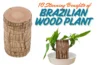 Brazilian Wood Plant