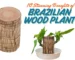 Brazilian Wood Plant