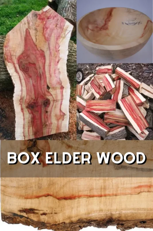 Box elder wood 1