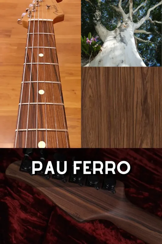 Pau Ferro 1
