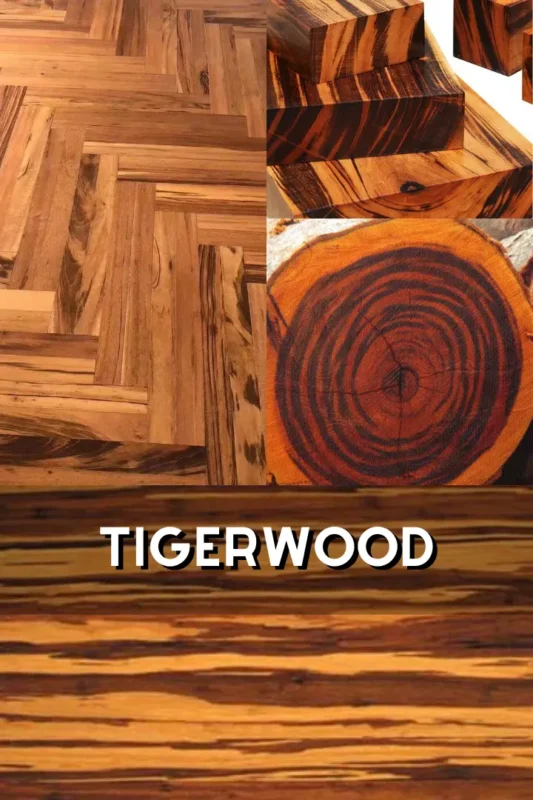 Tigerwood 1