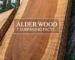 alder wood