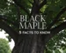 black maple