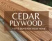 cedar plywood