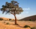 desert ironwood