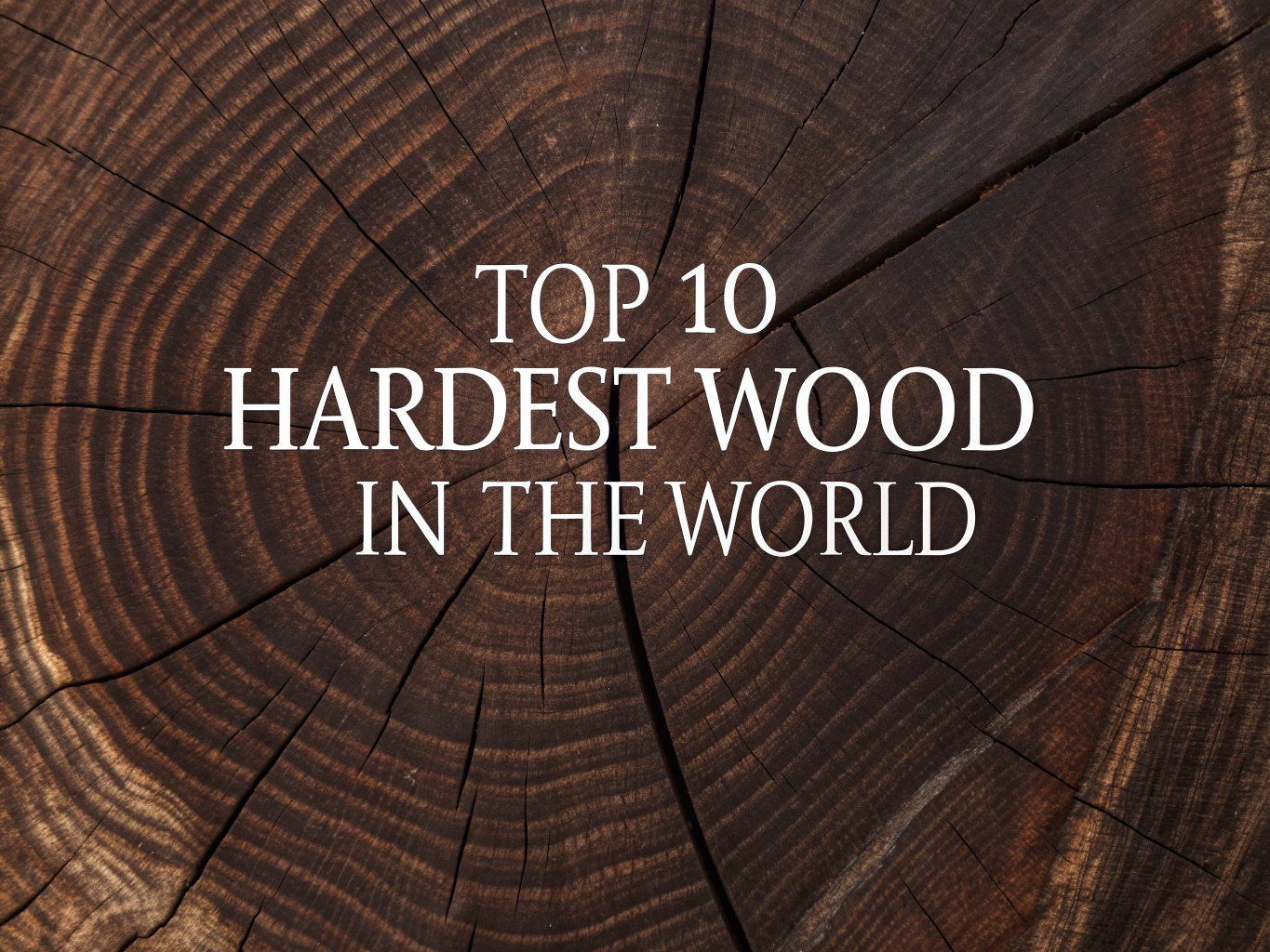 hardest wood in the world