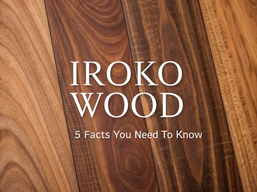 iroko wood