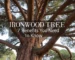 ironwood tree