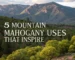 mountain mahogany