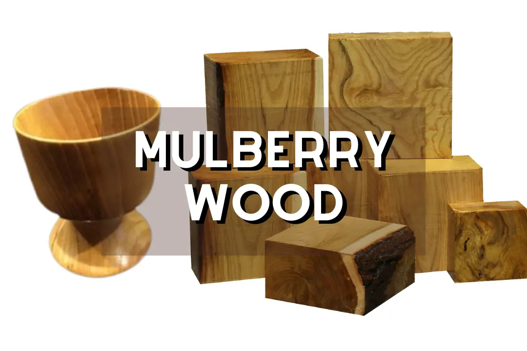 Wood Grain Patterns 5 Designs To Love 2025