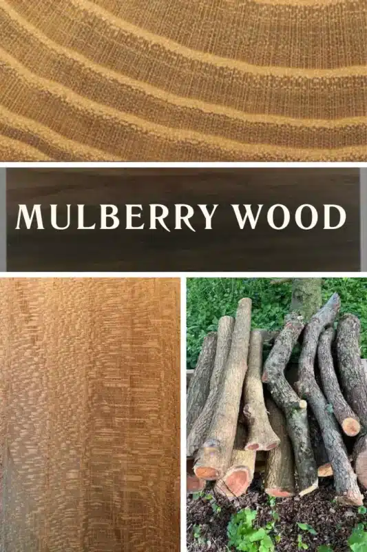mulberry wood 1
