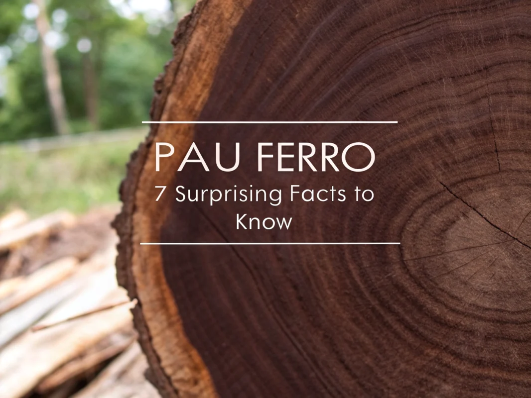 pau ferro