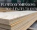 plywood dimensions