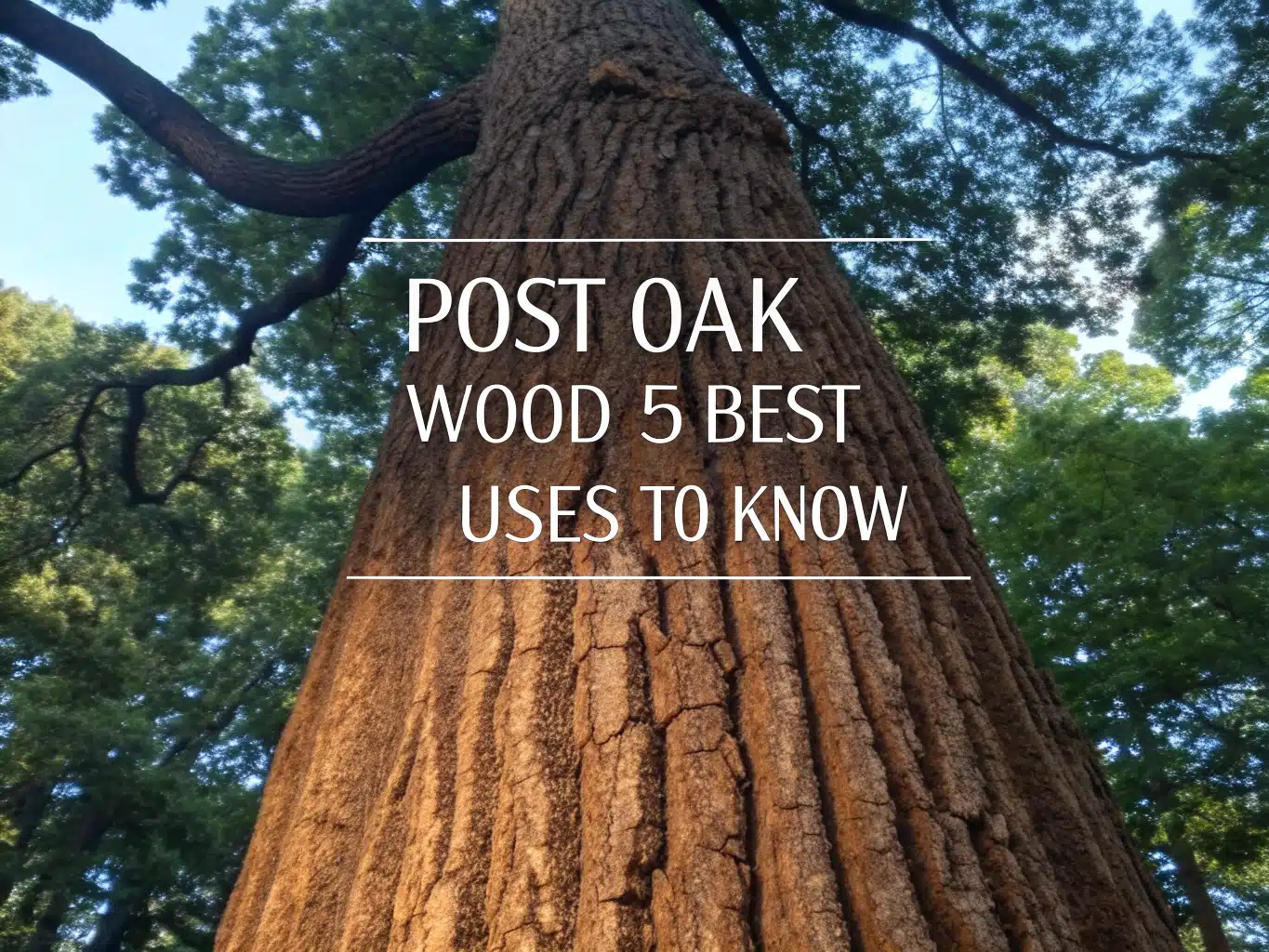 post oak wood