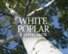 white poplar