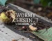 wormy chestnut