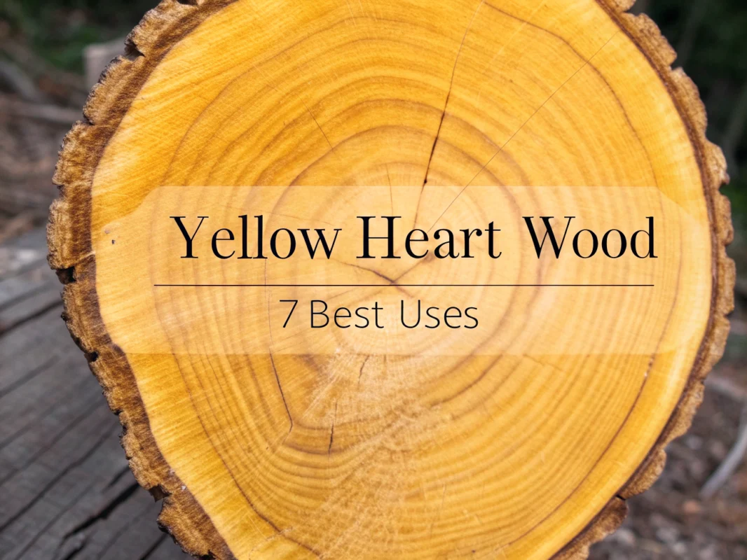 yellow heart wood
