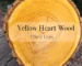 yellow heart wood