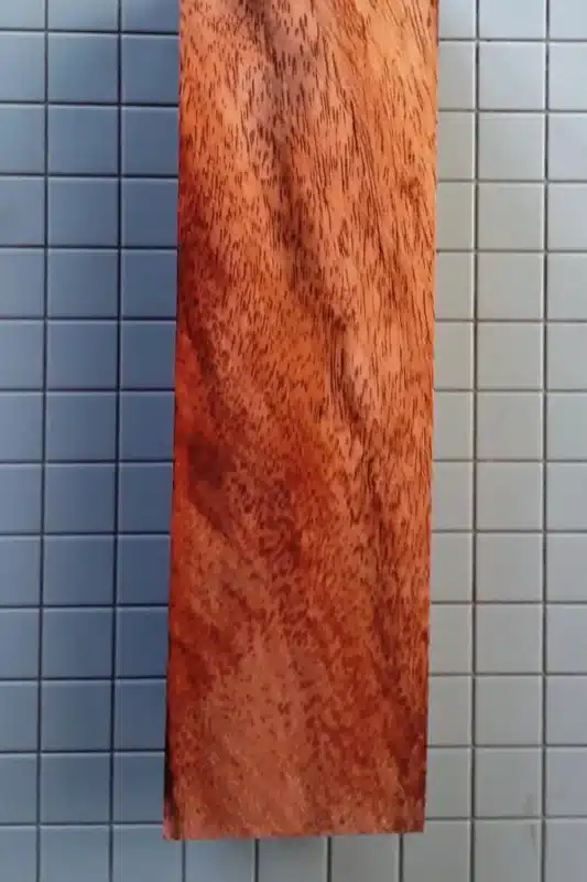 Schinopsis brasiliensis