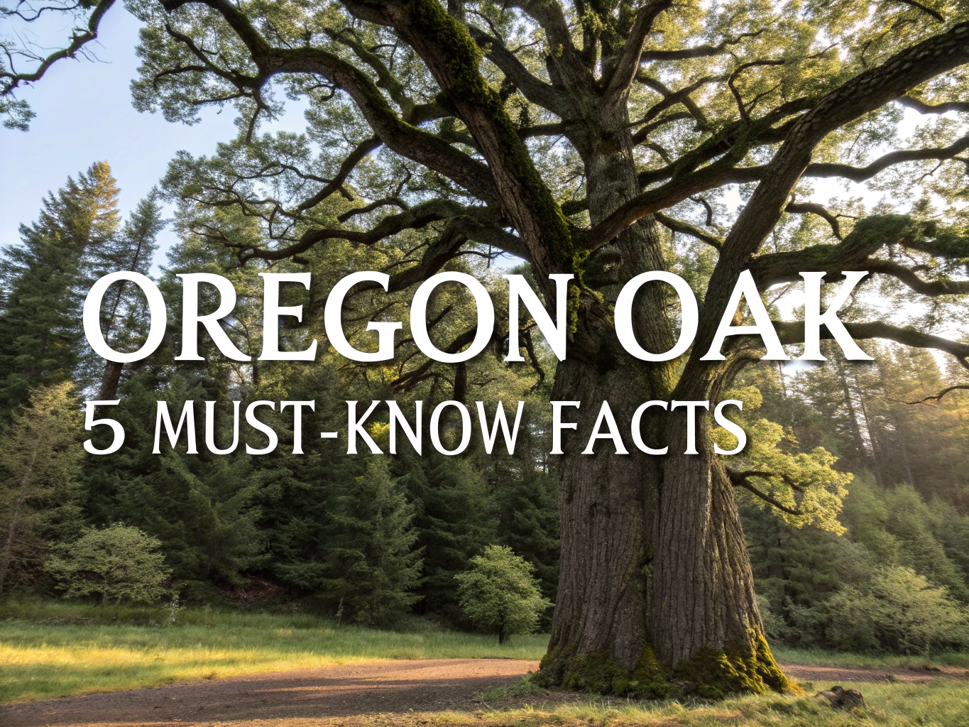 oregon oak