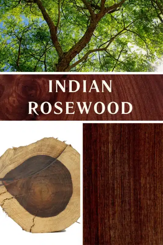Indian rosewood