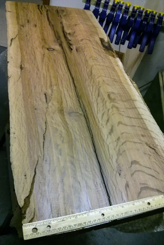 Schinopsis brasiliensis