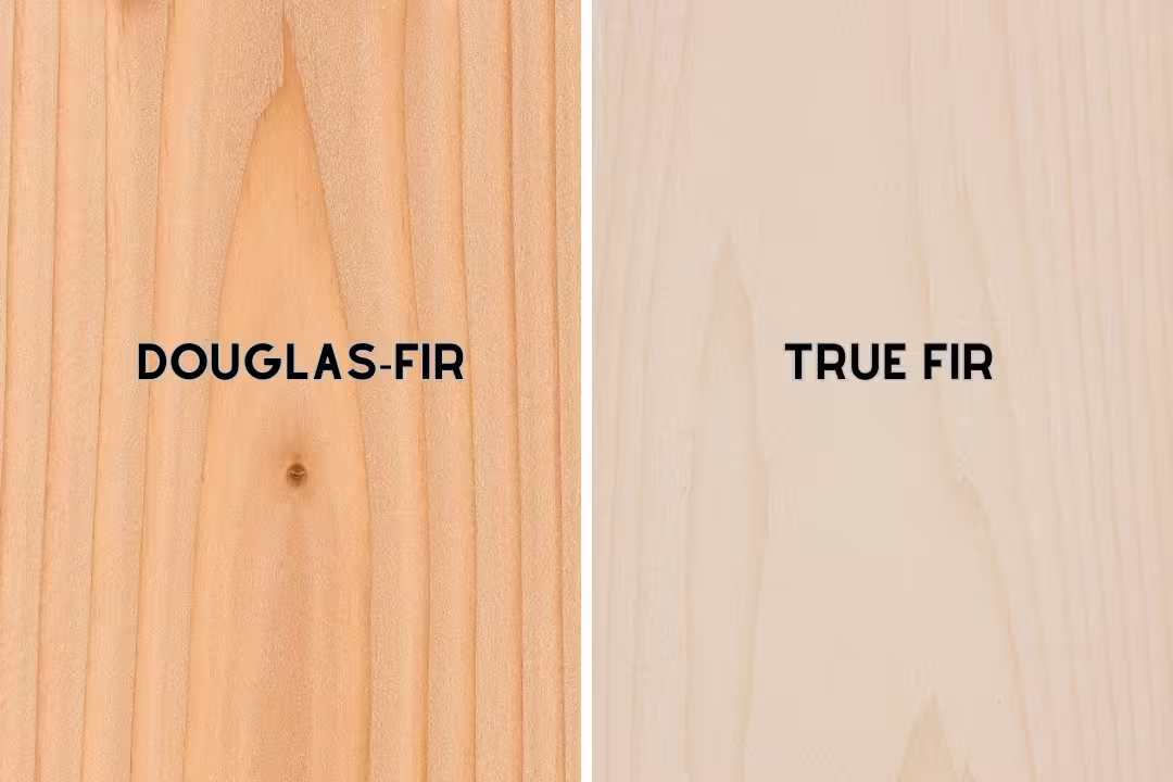 Comparison of Douglas-fir and True Fir