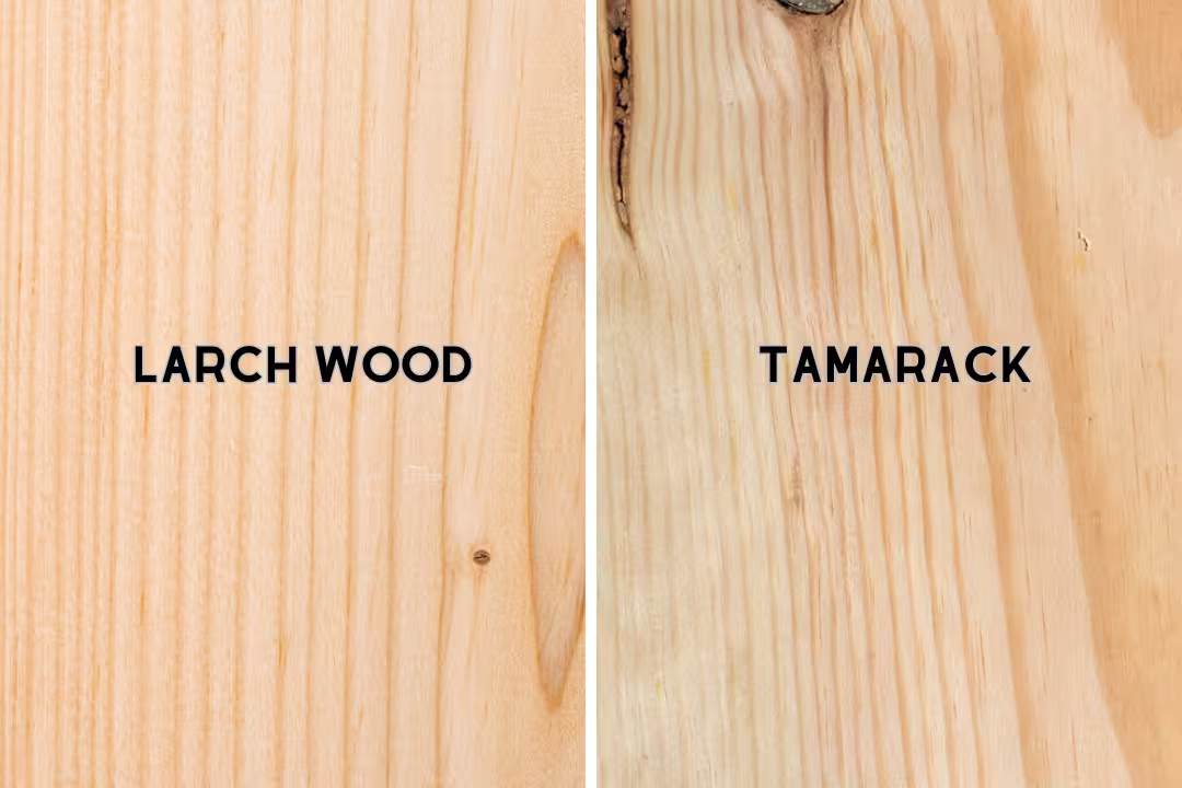 Larch and tamarack