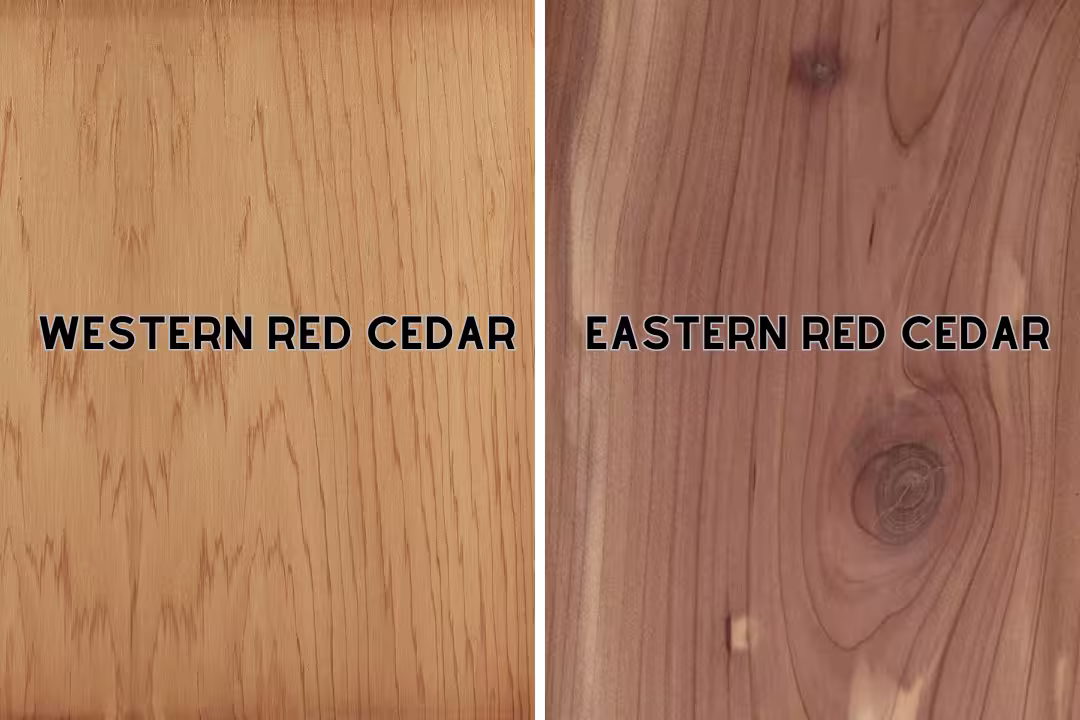 Comparison of wood types Eastern Red Cedar and Western Red Cedar